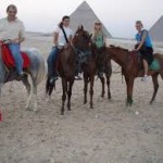 Horse Riding Trip at the Giza Pyramids Area